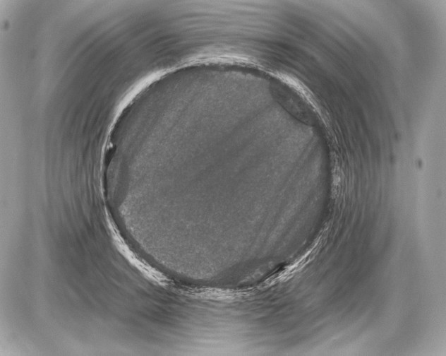 X0000085811038200704091601