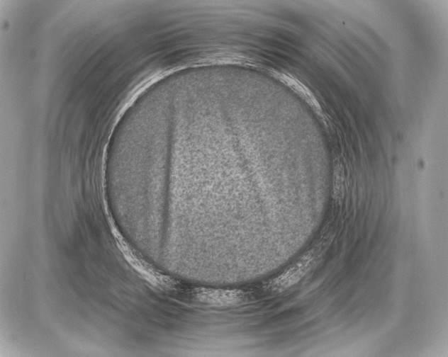 X0000085811039200704091601