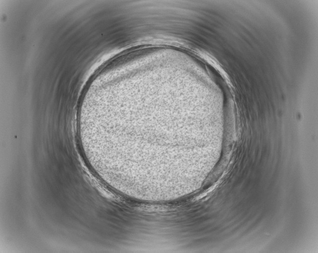 X0000085811040200704091601