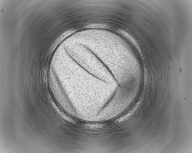 X0000085811041200704091601