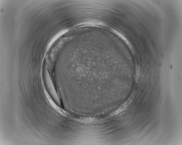 X0000085811042200704091601