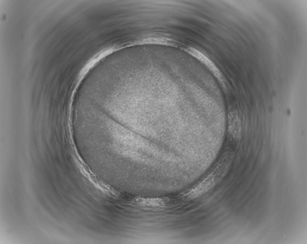 X0000085811043200704091601