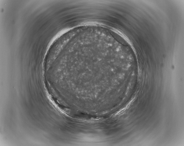 X0000085811045200704091601