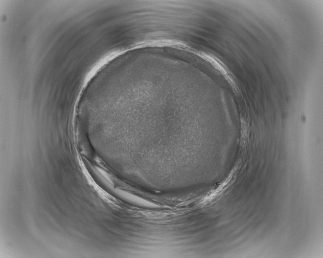 X0000085811046200704091601