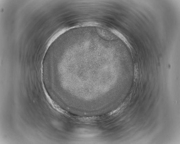 X0000085811047200704091601