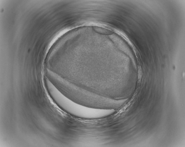 X0000085811048200704091601