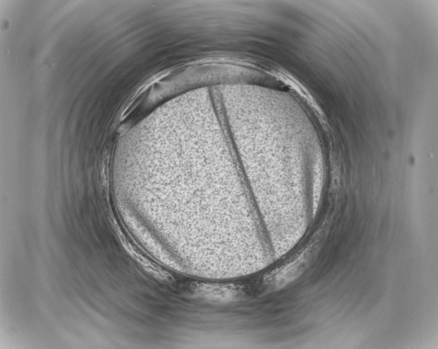 X0000085811049200704091601