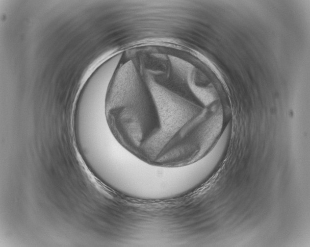 X0000085811050200704091601