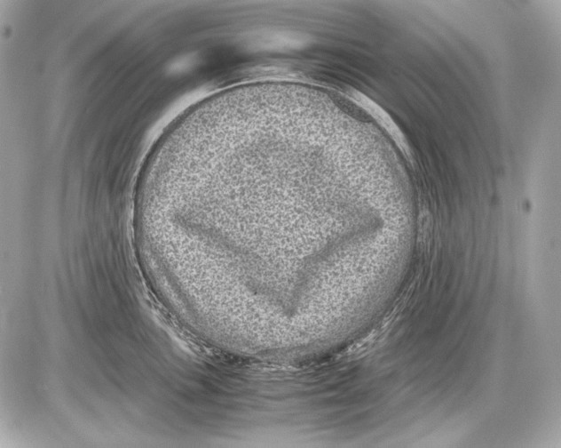 X0000085811051200704091601