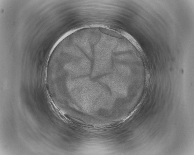 X0000085811052200704091601