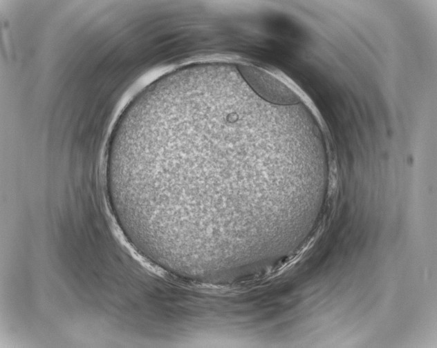 X0000085811053200704091601