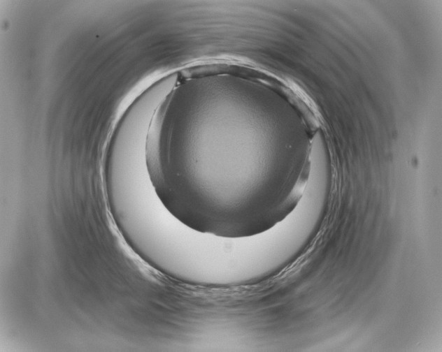 X0000085811054200704091602