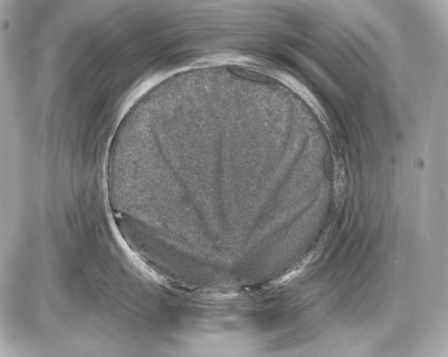 X0000085811055200704091602