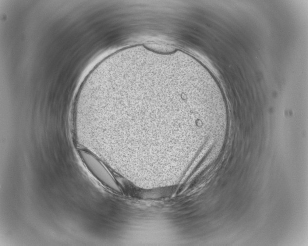 X0000085811056200704091602