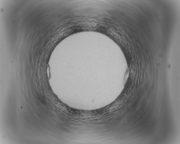 X0000085811057200704091601