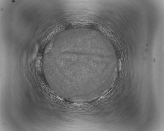 X0000085811059200704091601