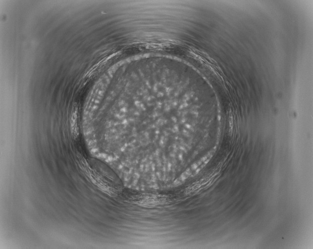 X0000085811060200704091601