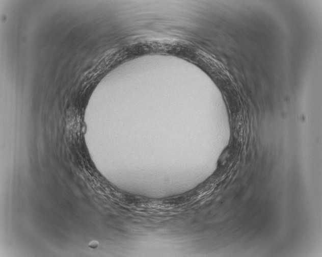 X0000085811061200704091601