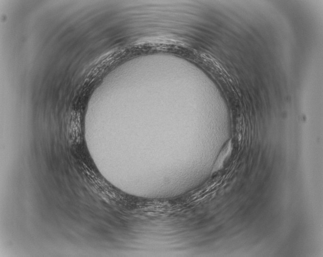 X0000085811062200704091601