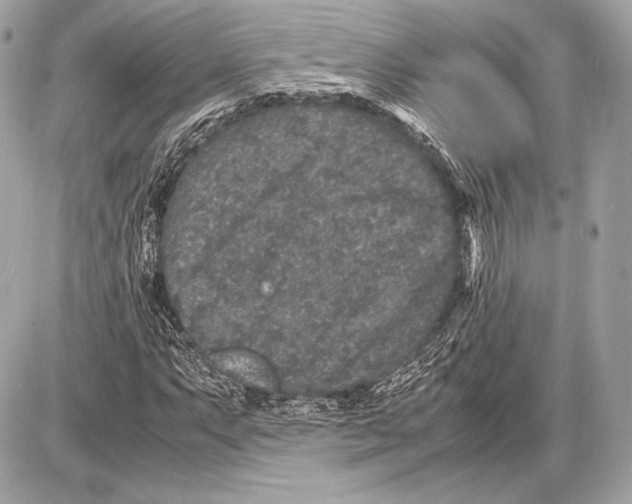 X0000085811063200704091601