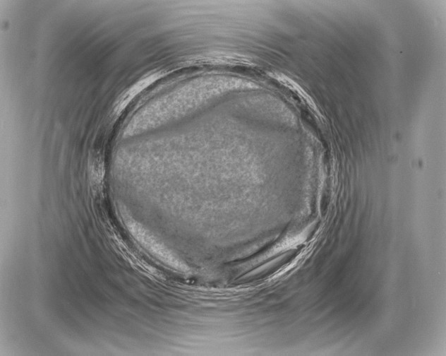 X0000085811065200704091601