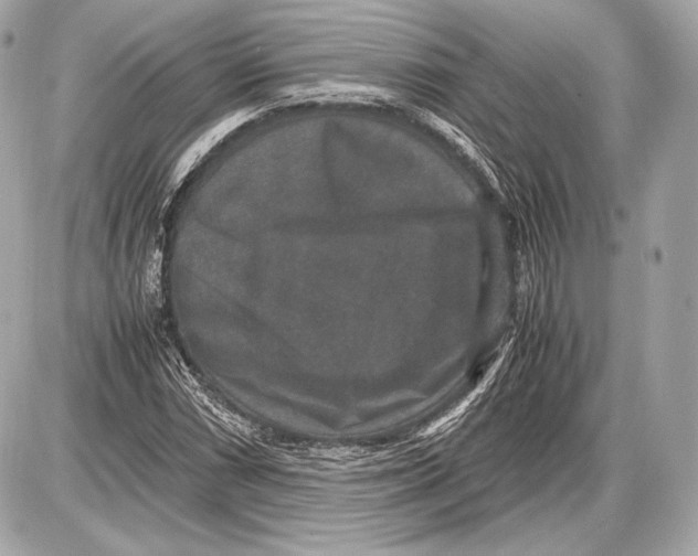 X0000085811066200704091601