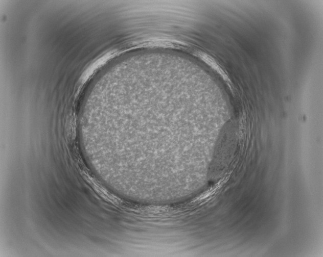 X0000085811067200704091601