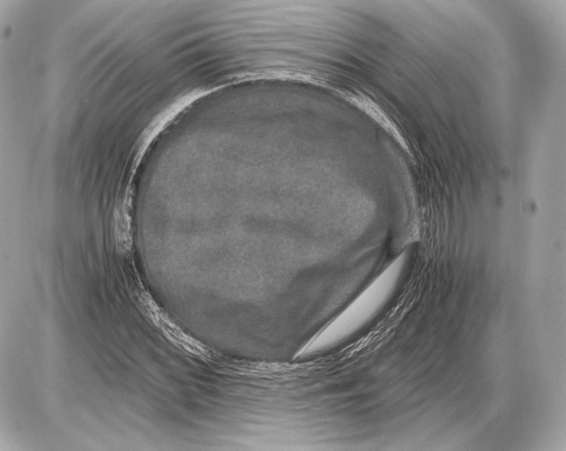 X0000085811068200704091600