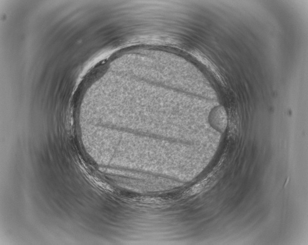 X0000085811070200704091600