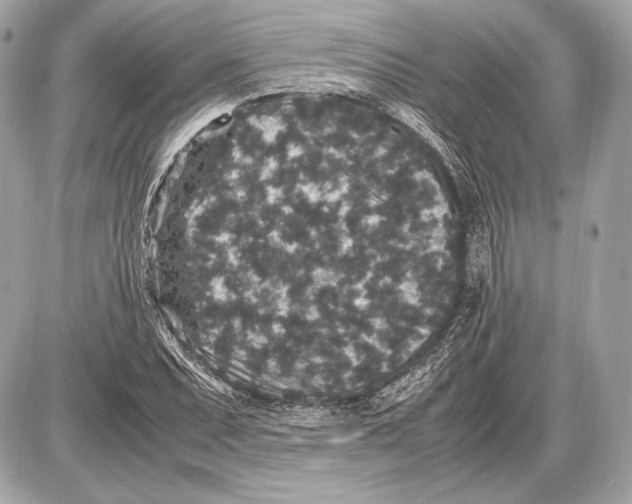 X0000085811071200704091600