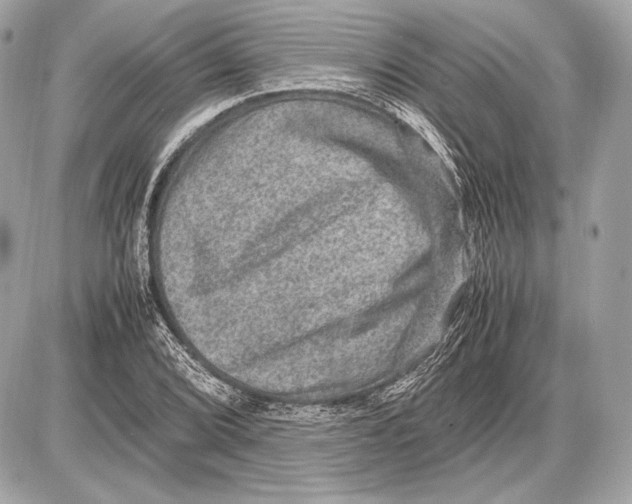 X0000085811072200704091600