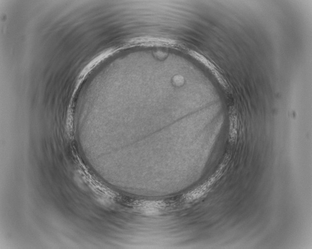 X0000085811074200704091600