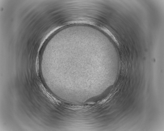 X0000085811076200704091600