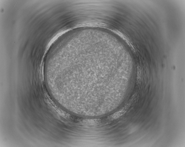 X0000085811078200704091600