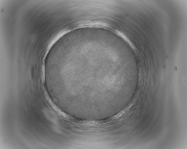 X0000085811079200704091600