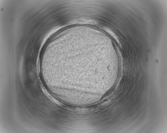 X0000085811080200704091600