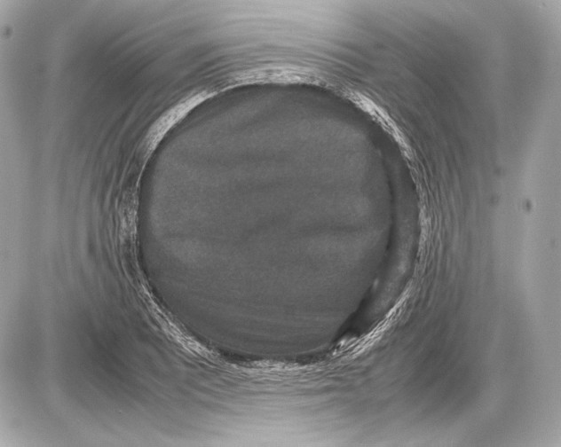 X0000085811081200704091600