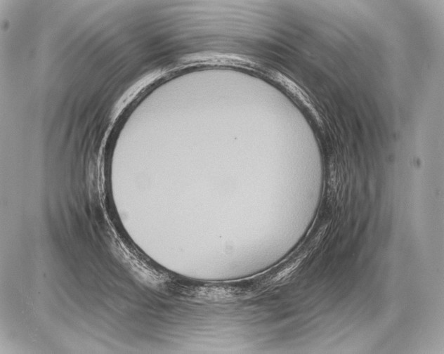 X0000085811082200704091600