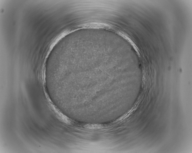 X0000085811083200704091600