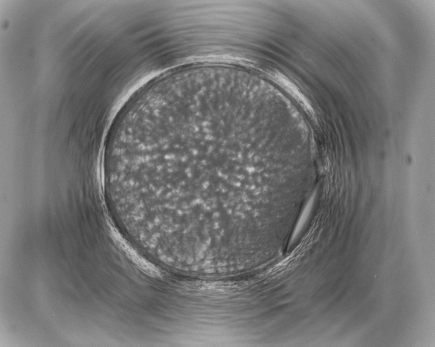 X0000085811084200704091600