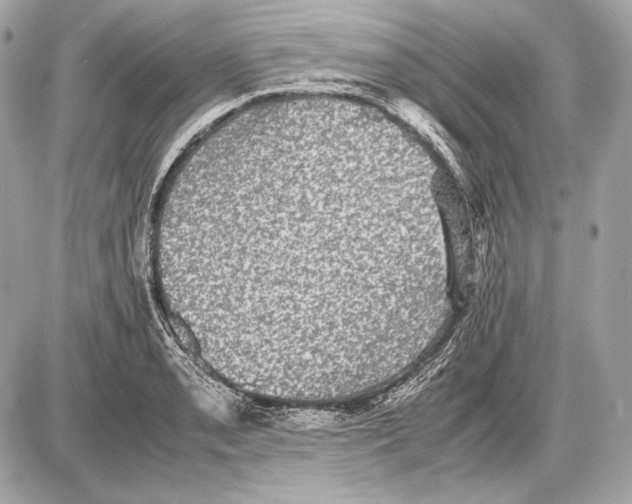 X0000085811085200704091600