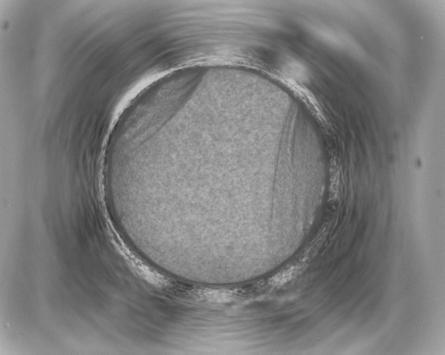 X0000085811086200704091600