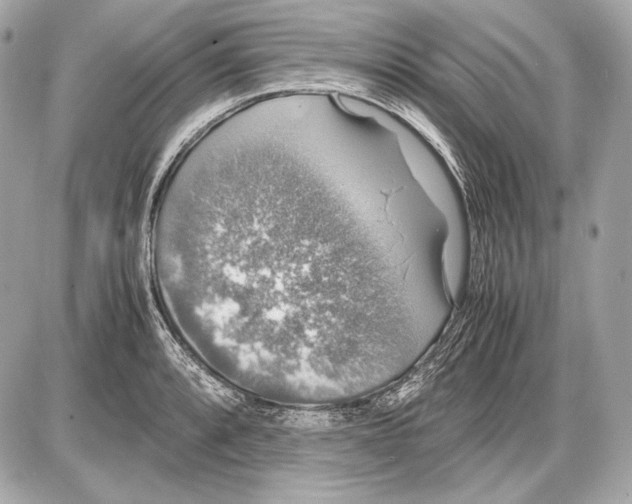 X0000085811088200704091600