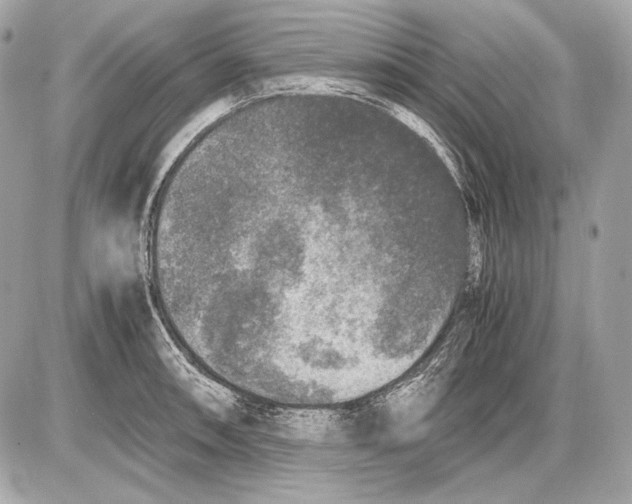 X0000085811090200704091600