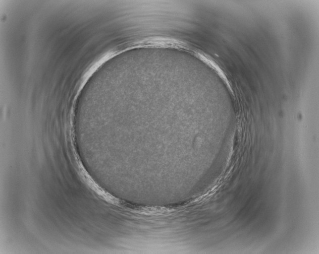 X0000085811091200704091600