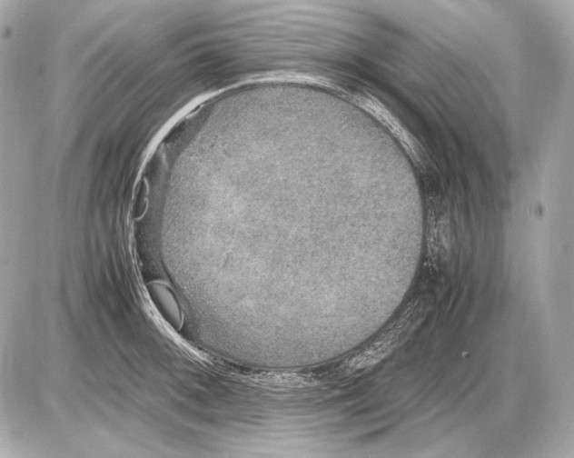 X0000085811092200704091600