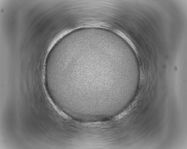 X0000085811093200704091600