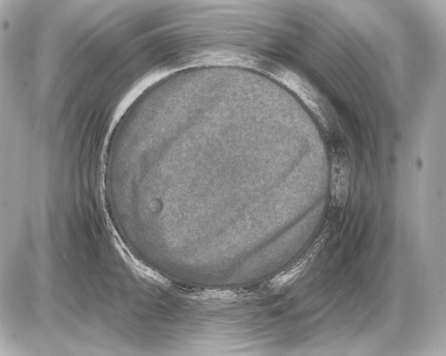 X0000085811094200704091600