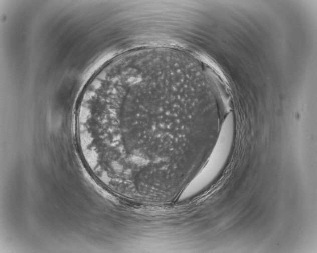 X0000085811095200704091600