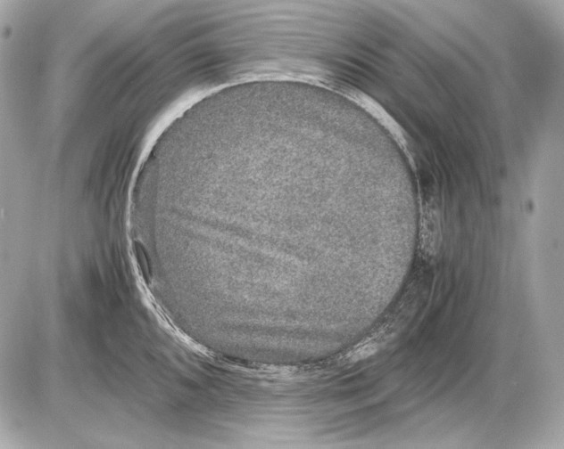 X0000085811096200704091600